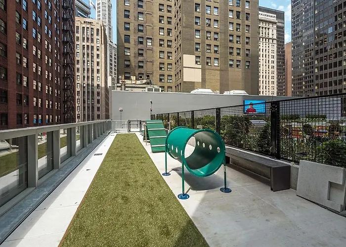 Loop 1br W Gym Roof Deck Nr Millennium Park Chi-961 Apartment *