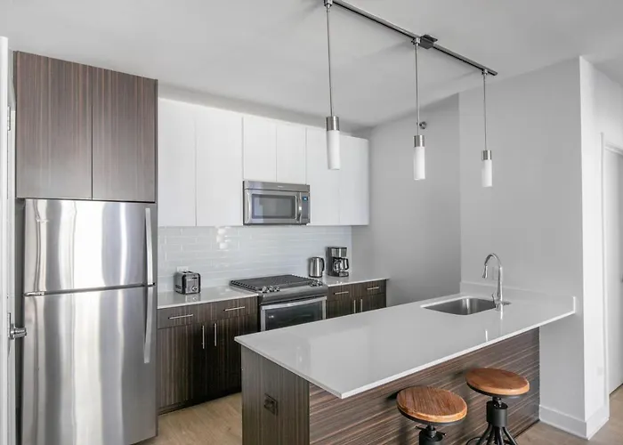 Loop 1br W Gym Roof Deck Nr Millennium Park Chi-961 *
